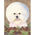 thumbnail image 1 of Carolines Treasures SS4106CHF 28 x 40 In. Bichon Frise Flag Canvas- House Size, 1 of 4