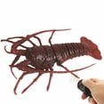 thumbnail image 1 of RC Spider&Bee Electric Remote Control Simulated Insect Cockroach Car Scary Prank Toys For Party Props Kids Gift, 1 of 13