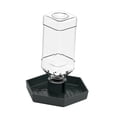thumbnail image 2 of Mornei Reptile Water Feeder Automatic Water Dispenser for Amphibians Geckos Turtles S, 2 of 8