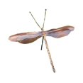 thumbnail image 1 of Ancient Graffiti Flamed Copper Staked Dragonfly, 1 of 4