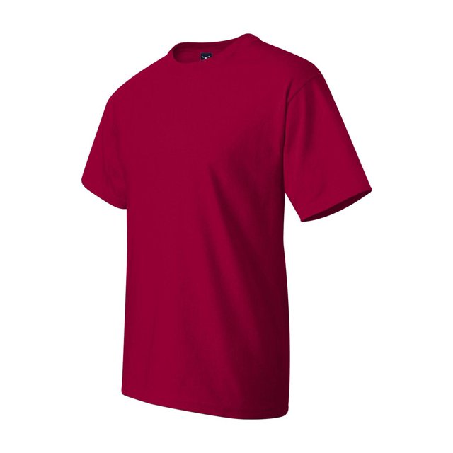 Hanes Tall Beefy-T pour Hommes - 518T (Lot de 2)