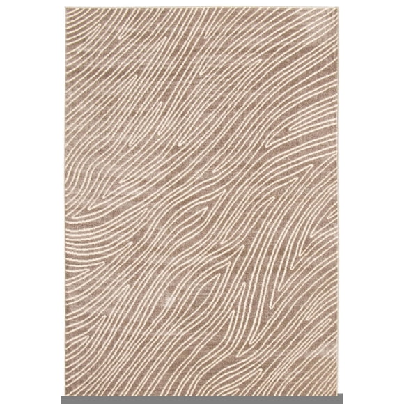 Tapis ECARPET Moderne pour Salle à Manger, Salon, Chambre Vector Beige