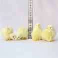 thumbnail image 4 of Réaliste Poussin Décora Animal Poupée Simulation Poulet Modèle Peluche Pâques Cadeau, 4 of 4