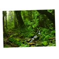 thumbnail image 3 of tamizeot Aquarium Background 3D Background Poster Fish Tank Decorations Sticker Wall Grass Green 61x41cm, 3 of 6