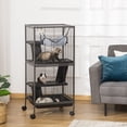 thumbnail image 2 of PawHut Cage Roulante à 4 Niveaux pour Petits Animaux, Maisonnette de Jeu, Cage de Luxe pour Cochon d'Inde, 2 of 10