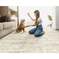 thumbnail image 4 of x Area Rug Living Room Rugs Washable Neutral Modern Abstract Soft Thin Large Rug Indoor Floor No Slip Rug Carpet for Bedroom Under Dining Table Home Office Decor Grey, 4 of 9