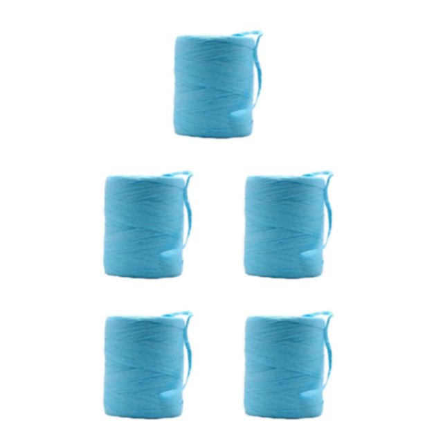 Decodeary Sturdy And Durable Raffia Rope Yarn For DIY Crafts Beautiful Colors Fiber Natural Paper Ribbon acid blue 5Set