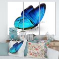 thumbnail image 1 of Designart Vibrant Blue Butterfly Canvas Wall Art, 1 of 4