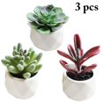thumbnail image 1 of Coofit 3PCS Artificial Succulents Mini Decorative Potted Fake Succulents Faux Plants, 1 of 10