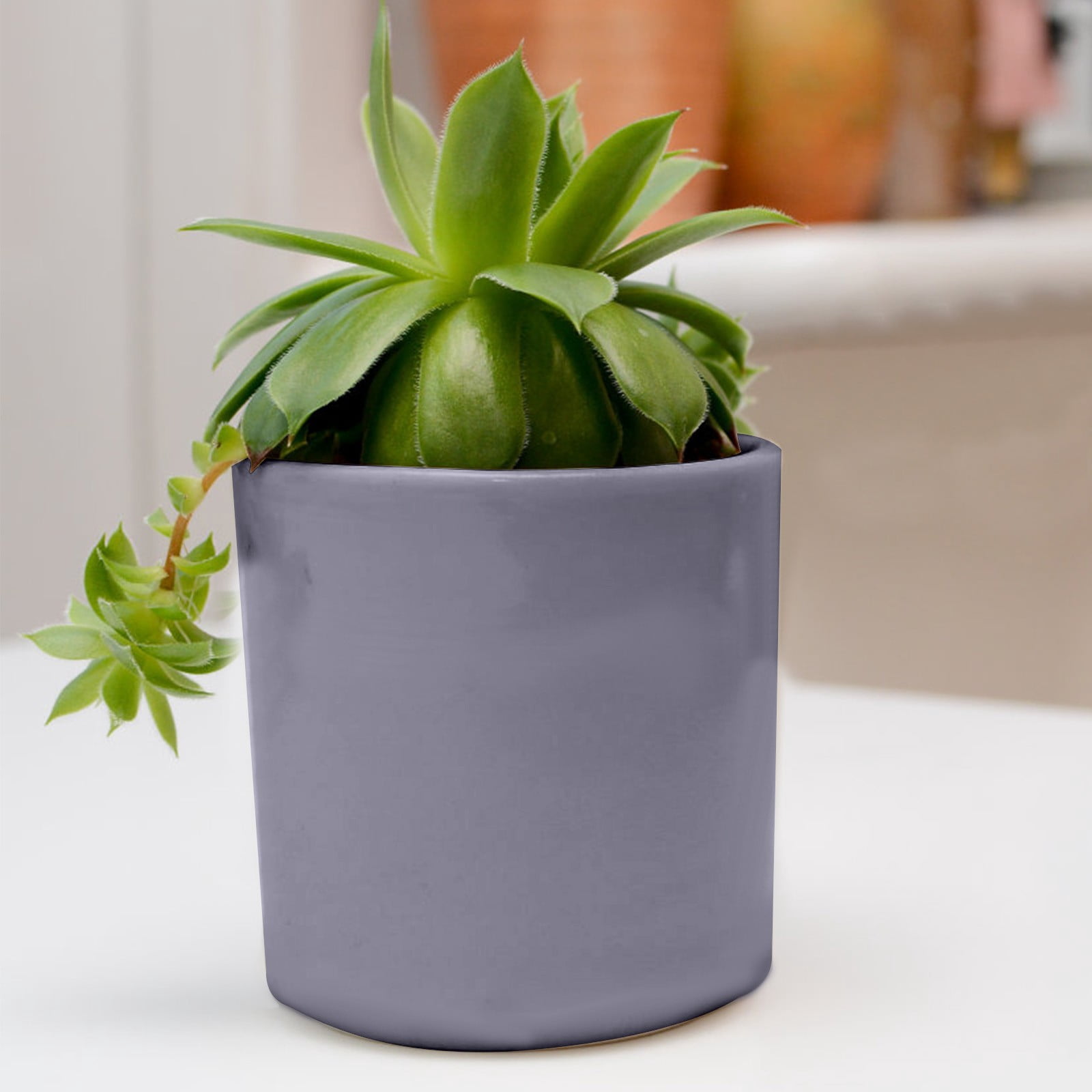 1-Pack Ceramic Plant Pots, 5Inch Plastic Planters Round Flower Planter Containers Flower Pots for Indoor/Outdoor/Garden, Plant Holder ,Coffee 2