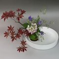 thumbnail image 3 of Abbracc ese Ikebana/ Forme Ronde/ en - Blanc 28cm, 3 of 9