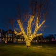 thumbnail image 4 of Novelty Lights 24FT 70 LED C6 Outdoor Christmas String Lights, Warm White, 4 of 7