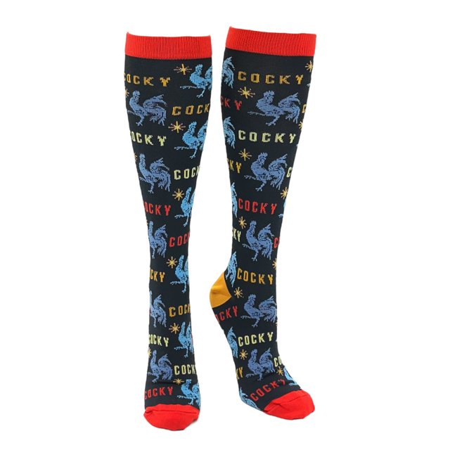 Chaussettes de Compression pour Hommes, Amusantes, Sarcastiques, avec Animaux