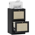 thumbnail image 1 of HOMCOM 2 Drawer File Cabinet Lockable Filing Cabinet for A4 Letter Black, 1 of 10
