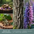 thumbnail image 4 of Cubes de cire parfumée ScentSationals - Bois de patchouli, 4 of 6
