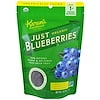Karen's Naturals Organic Just Blueberries, a 2 oz (56 g) resealable green pouch of freeze-dried organic blueberries. The front of the bag features the USDA Organic logo, a clear window showing the product, and vibrant blueberry imagery. Ideal as a snack, topping, or recipe ingredient.