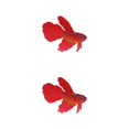 thumbnail image 2 of Thinsony Beautifully Crafted Luminous Artificial Simulation Goldfish For Aquariums Tan red 2Set, 2 of 6