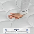 View all media