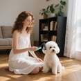 thumbnail image 3 of Pet Grooming Kit for Dogs and Cats Stylish Indoor Tool with Durable Design for Pet Care, 3 of 4
