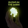 thumbnail image 3 of National Geographic Glow-In-The-Dark Crystal Growing Lab, 3 of 7