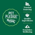 thumbnail image 4 of NUTRO WHOLESOME ESSENTIALS Adult Dry Cat Food Chicken & Brown Rice Recipe, 2.27kg Bag, 4 of 18