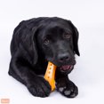 thumbnail image 3 of Hartz Chew 'n Clean Extra Large Dental Duo Dog Toy, 3 of 5