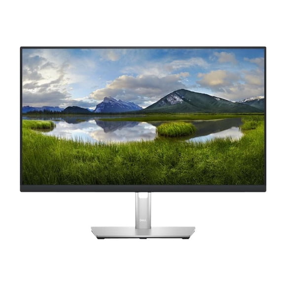 Dell P2423DE - Moniteur DEL - 24 Pouces (23,8 Pouces Visible) - 2560 x 1440 QHD @ 60 Hz - IPS - 300 CD/M - 1000:1 - 5 ms - HDMI, DisplayPort, USB-C - Noir - Conforme TAA - avec 3 Ans de Service d'Échange Avancé et Garantie Limitée sur le Matériel
