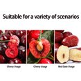 thumbnail image 2 of VONKY 4Pcs Stainless Steel Nucleation Tool Strawberry Practical Small Fruit Tool Steel Long Service Strawberry Kitchen Tool red, 2 of 4