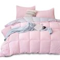 thumbnail image 4 of Reversible Soft Comforter Bedding Set, 4 of 42