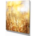 thumbnail image 2 of Brown Wheat Plants in Field - Floral Canvas Art Print, 2 of 3