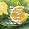 thumbnail image 4 of Yankee Candle Scented Candle, Sage & Citrus, 22 oz Original Large Jar, 4 of 8