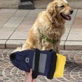 thumbnail image 4 of WRITWAA Pet Trolley Bag For Dogs Wheelchair For Old Disabled Dogs Mobility Scooter Breathable Fabric For Walking, 4 of 7