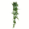 thumbnail image 1 of Vickerman 6 Pieds Vert & Blanc Grape Ivy Buisson Suspendu - FZ192472, 1 of 2
