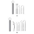 thumbnail image 1 of Toothpick Travel Tooth Cleaning Pick Barbecue Fruit Fork Reusable Washable Multifunctional Teeth Flossing Flosser with Holder 5PCS, 1 of 8