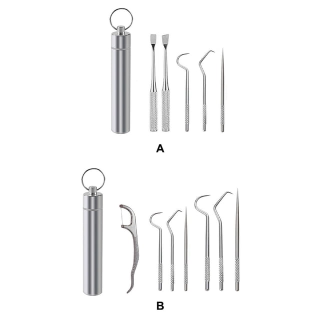 Toothpick Travel Tooth Cleaning Pick Barbecue Fruit Fork Reusable Washable Multifunctional Teeth Flossing Flosser with Holder 5PCS. Includes durable stainless steel tools with textured handles and a compact cylindrical storage holder featuring a keyring attachment. Perfect for dental care, food handling, and portable travel use.