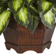 thumbnail image 3 of Golden Dieffenbachia Silk Plant, 3 of 5