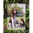 thumbnail image 3 of Carolines Treasures BDBA0288GF Springer Spaniels by Daphne Baxter Flag Garden Size, 3 of 3