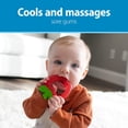 thumbnail image 3 of Dr. Brown's AquaCool Water-Filled Teether, 3 of 7