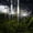 C, variant on Solar Powered LED String Lights with 120 Bulbs, 8 Modes, Timer, Remote Control for Outdoor Garden Patio Wedding Party Decor