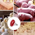 thumbnail image 2 of REK Livestock Heat Lamp Farm Animal Warming Light For Piglets/Chicks/Lambs Brooder Bulb With Ceramic Socket (250W), 2 of 5