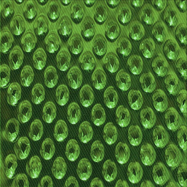 Ahgly Tapis d'Intérieur Lavable en Machine Carré Vert Émeraude Profond, 6 Pieds Carré
