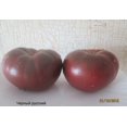 thumbnail image 2 of HJADGG Seeds Tomato Black Russian Heirloom Non-GMO, 2 of 8