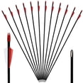 thumbnail image 1 of Runzkzy 29inch Fiberglass 6/12 PCS Archery and Hunting Arrows Combined with Recurve Bows and Arrows, 1 of 12