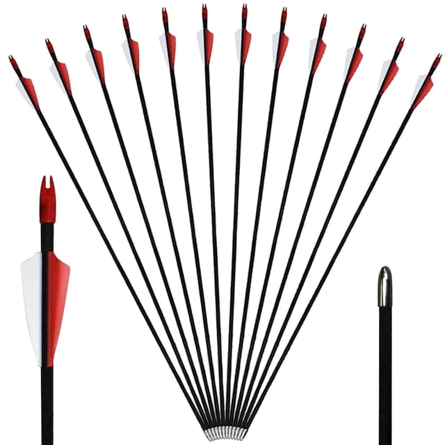 Runzkzy 29inch Fiberglass 6/12 PCS Archery and Hunting Arrows Combined with Recurve Bows and Arrows