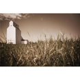 thumbnail image 1 of Posterazzi DPI1874663 Alberta, Canada - A Grain Elevator Poster Print, 19 x 12, 1 of 1
