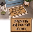 thumbnail image 1 of Tapis pour Chat / Paillasson Polyvalent pour Usage Intérieur et Extérieur / Tapis d'Entrée Élégant / Tapis Absorbant / Accessoire de Déco pour la Maison, 1 of 3