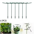 thumbnail image 3 of 6 Pcs Garden Climbing Trellis Plant Support Cage Sturdy Plastic Stakes for Plant, 3 of 6