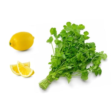 25 Organic DWARF LEMON CILANTRO Coriander Spice Coriandrum Sativum Fragrant Herb Seeds