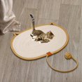 thumbnail image 3 of DOLITY Tapis à Griffer pour Chat Tapis à Griffer pour Intérieur Tapis pour Chats Orange m, 3 of 7