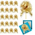 thumbnail image 1 of TIMIFIS 20PCS Valentine Pull Bow Red Pull Bow for Gift Wrapping,Valentine's Day Butterflys Bow Decoration,Colorful Ribbon Gift Package Bow For Christmas Wedding Gift Package, 1 of 3